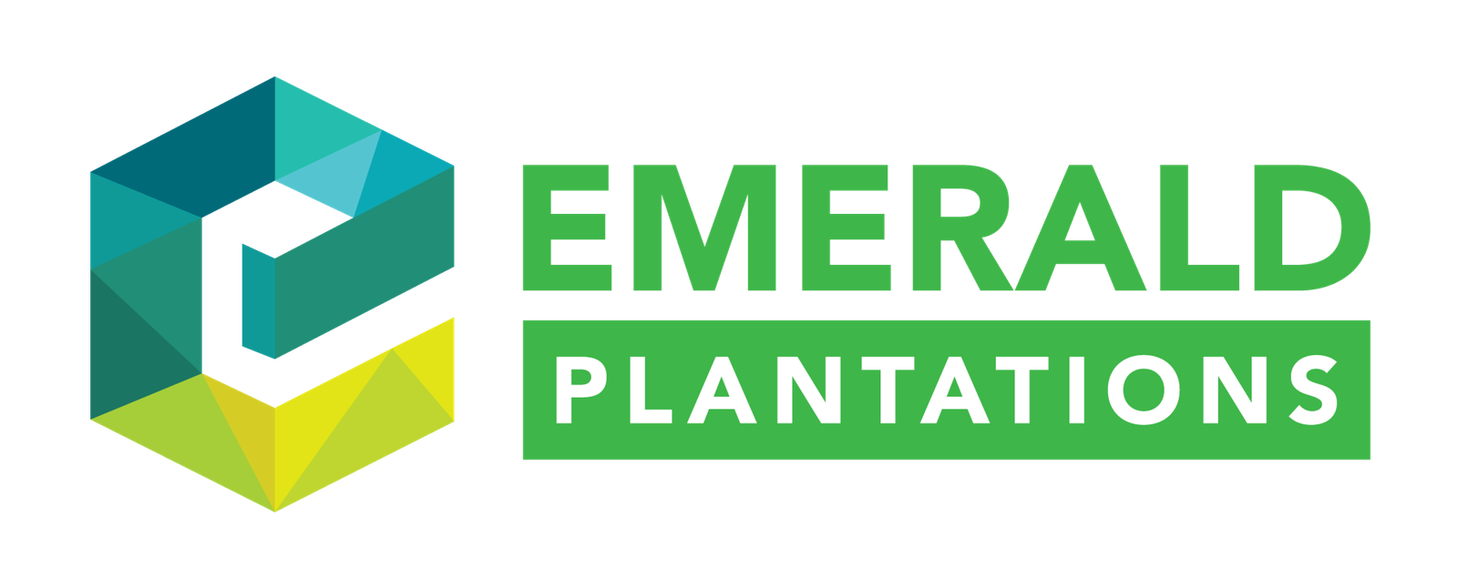 Emerald Plantation - Sustainable Durian Investment